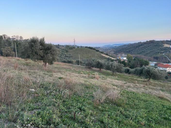 Image No.11-Terre à vendre à Montesilvano