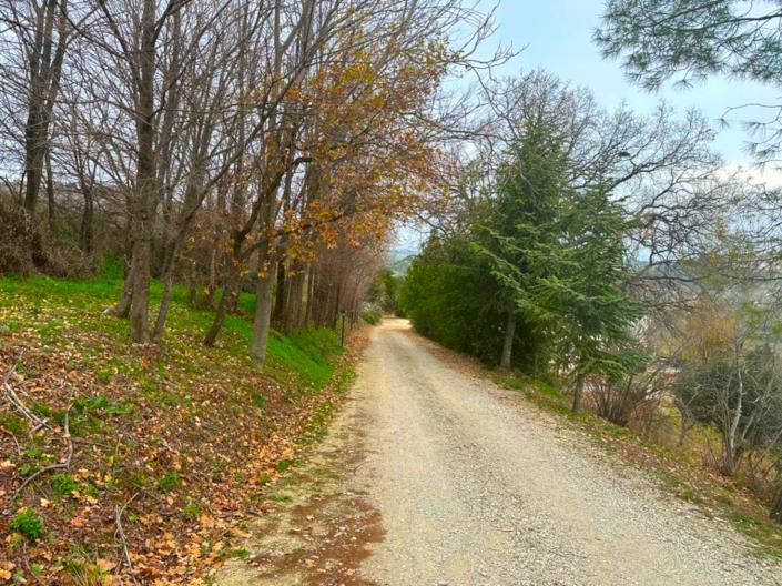 Image No.11-10 Bed Farmhouse for sale