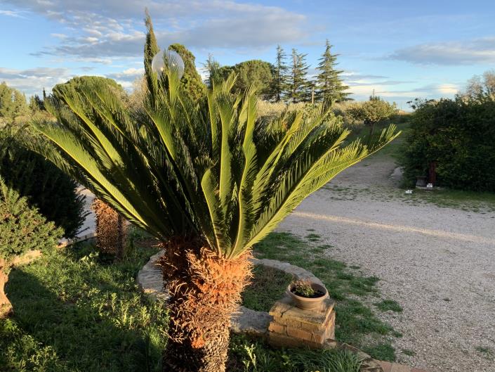 Image No.34-6 Bed House/Villa for sale