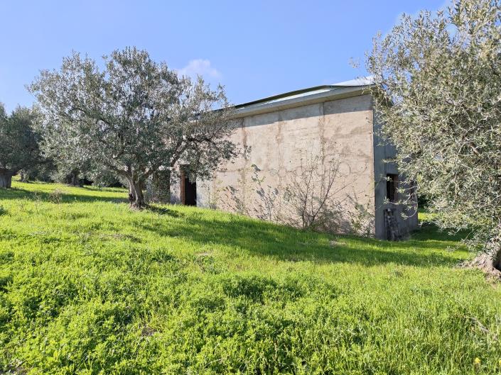 Image No.5-Land for sale