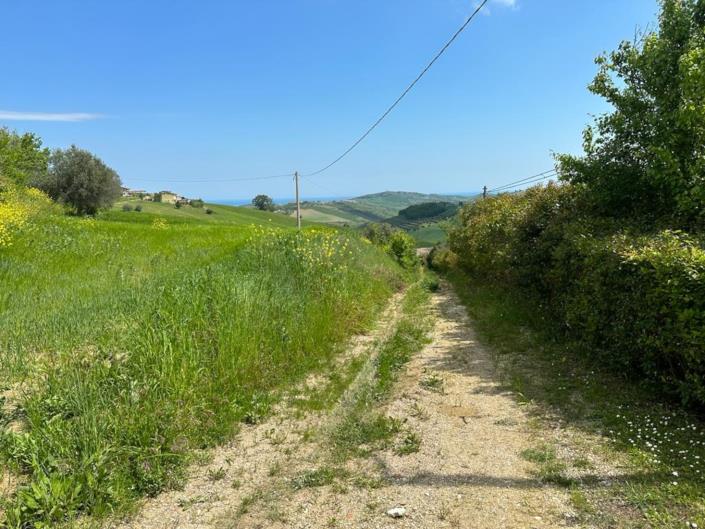 Image No.2-2 Bed Cottage for sale