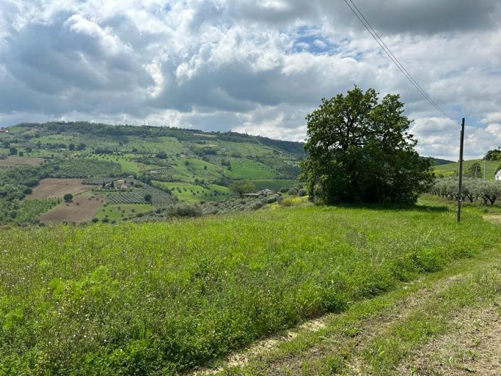 Image No.5-2 Bed Cottage for sale