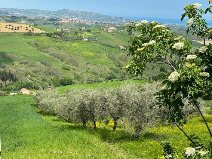 Image No.10-2 Bed Cottage for sale