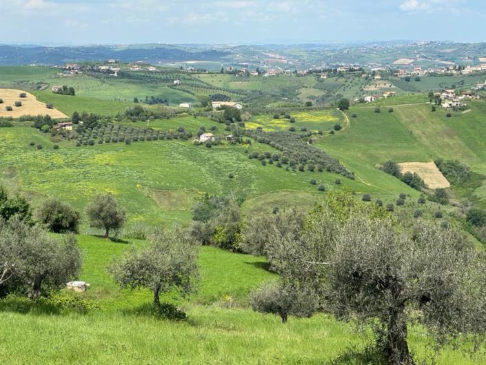 Image No.14-2 Bed Cottage for sale