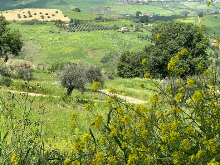 Image No.15-2 Bed Cottage for sale