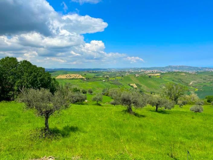 Image No.16-2 Bed Cottage for sale