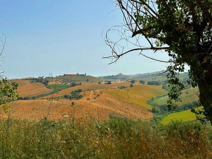 Image No.42-2 Bed Cottage for sale