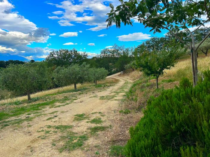 Image No.3-Property for sale