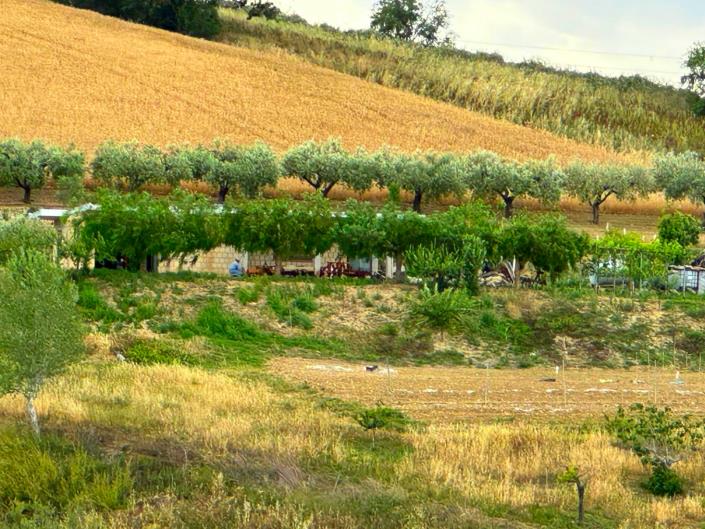 Image No.9-Property for sale