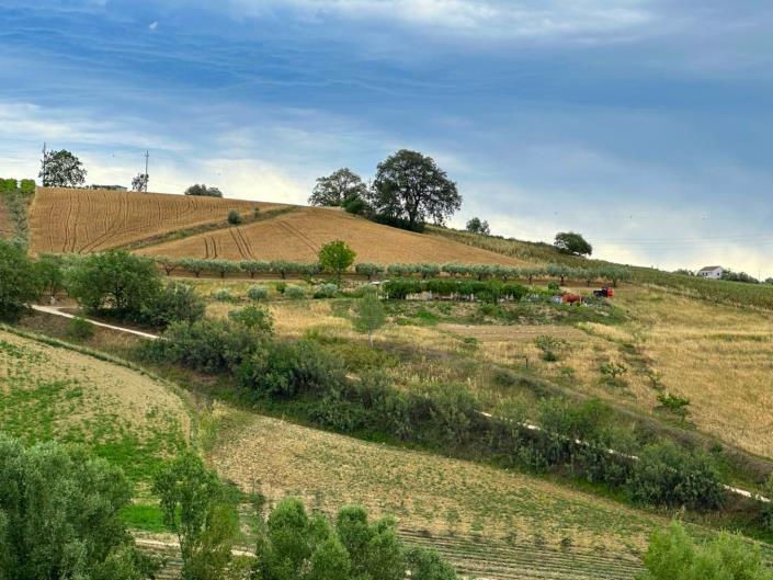 Image No.10-Property for sale