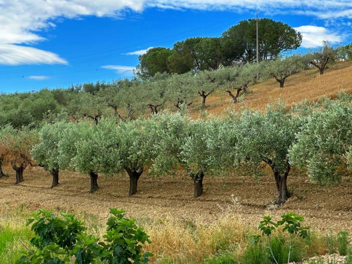 Image No.13-Property for sale