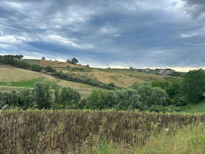 Image No.14-Property for sale