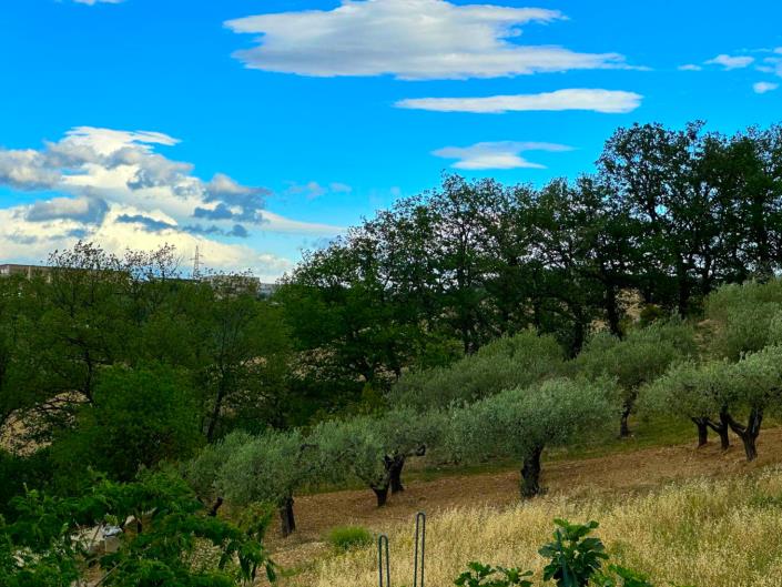 Image No.15-Property for sale