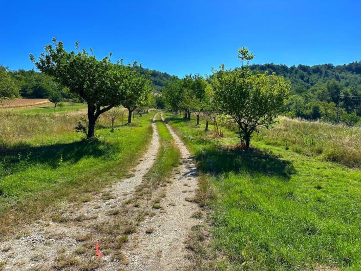 Image No.3-Propriété de pays de 2 chambres à vendre à San Martino sulla Marrucina