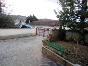 DSCN8870