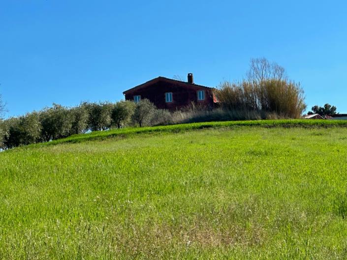 Image No.4-Propriété de 3 chambres à vendre à Cellino Attanasio