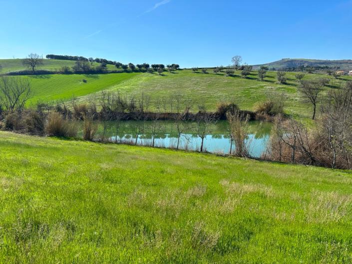 Image No.3-Propriété de 3 chambres à vendre à Cellino Attanasio