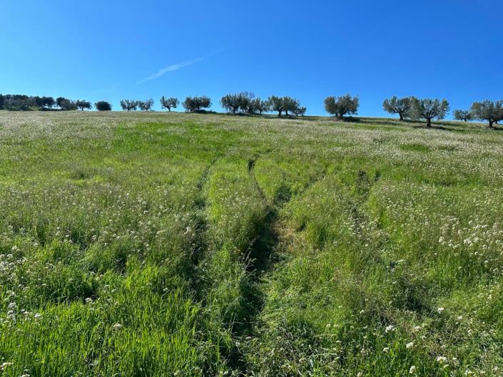 Image No.5-Propriété de 3 chambres à vendre à Cellino Attanasio