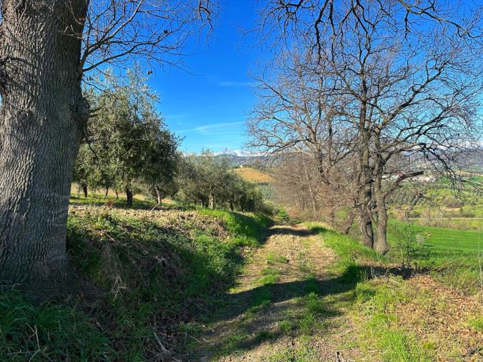 Image No.9-Propriété de 3 chambres à vendre à Cellino Attanasio