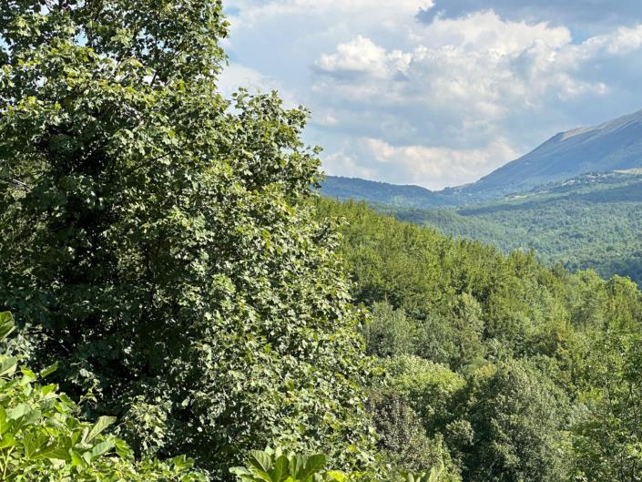 Image No.3-Propriété de 2 chambres à vendre à Caramanico Terme