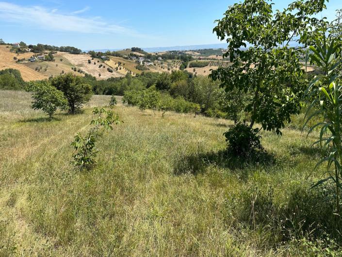 Image No.3-Property for sale