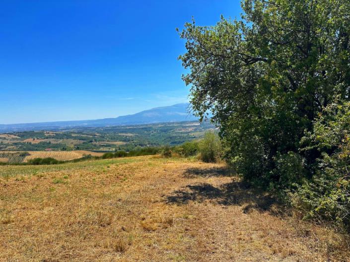 Image No.4-Property for sale