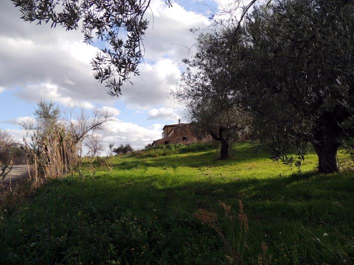 Image No.12-2 Bed Property for sale