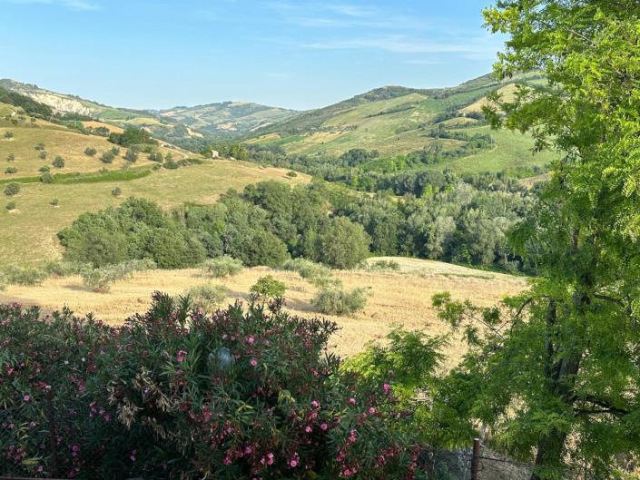 Image No.5-4 Bed Cottage for sale