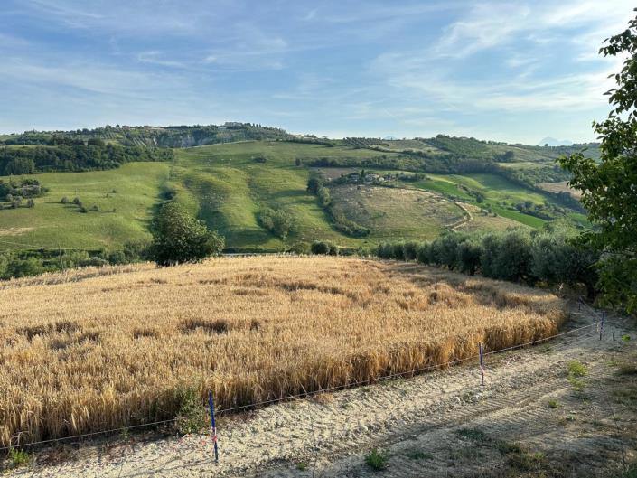 Image No.6-4 Bed Cottage for sale