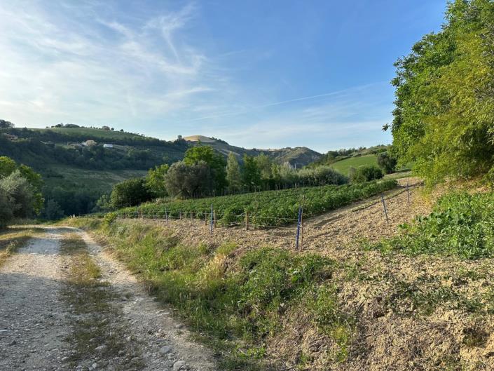 Image No.7-4 Bed Cottage for sale