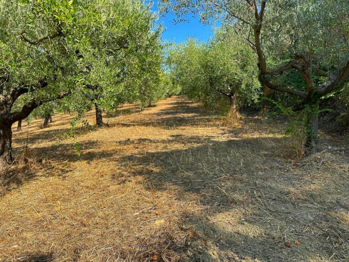 Image No.30-3 Bed House/Villa for sale