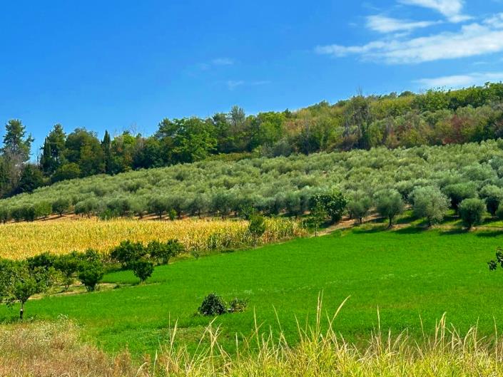 Image No.31-3 Bed House/Villa for sale