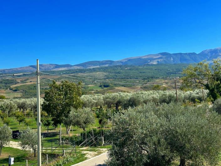 Image No.8-1 Bed Apartment for sale