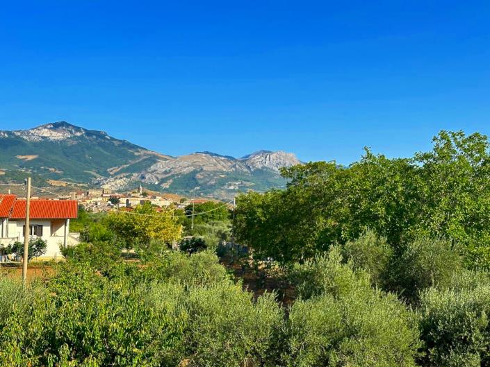 Image No.10-1 Bed Apartment for sale