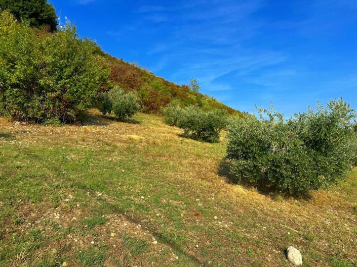 Image No.5-1 Bed Country Property for sale