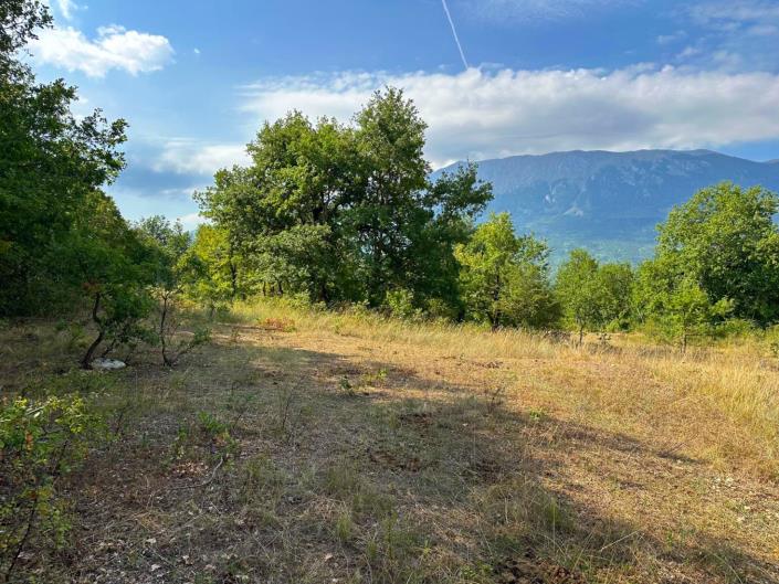 Image No.2-Land for sale