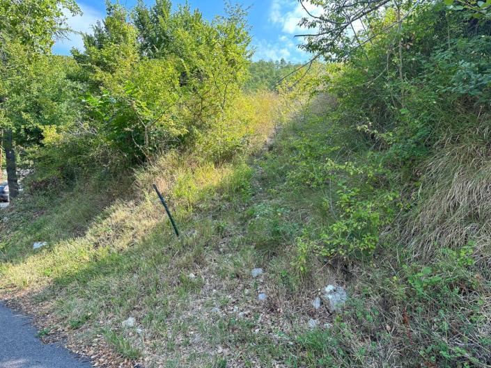 Image No.5-Land for sale