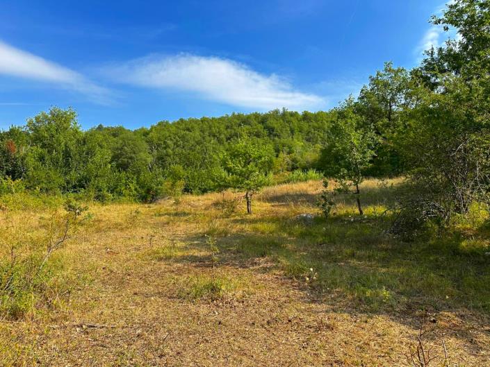 Image No.6-Land for sale