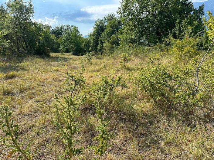 Image No.7-Land for sale