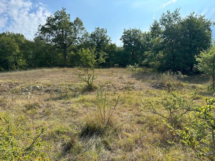 Image No.8-Land for sale