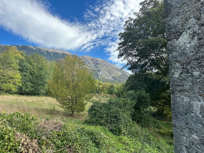 Image No.7-Cottage for sale