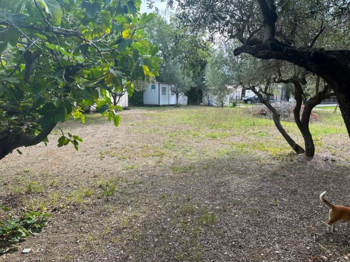 Image No.3-Terre à vendre à San Valentino in A.C.