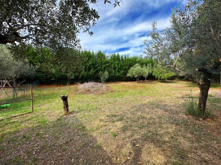 Image No.4-Terre à vendre à San Valentino in A.C.