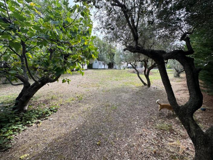 Image No.5-Terre à vendre à San Valentino in A.C.