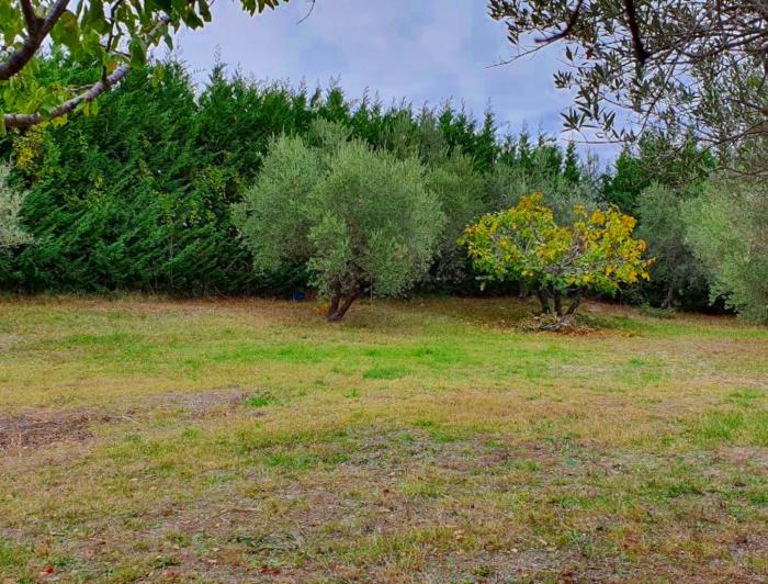 Image No.6-Terre à vendre à San Valentino in A.C.