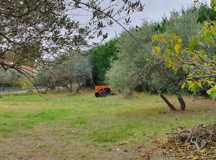 Image No.8-Terre à vendre à San Valentino in A.C.