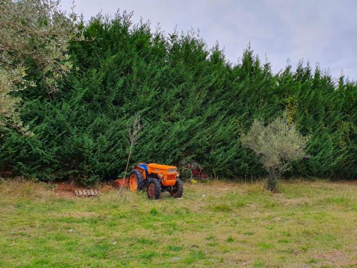 Image No.7-Terre à vendre à San Valentino in A.C.