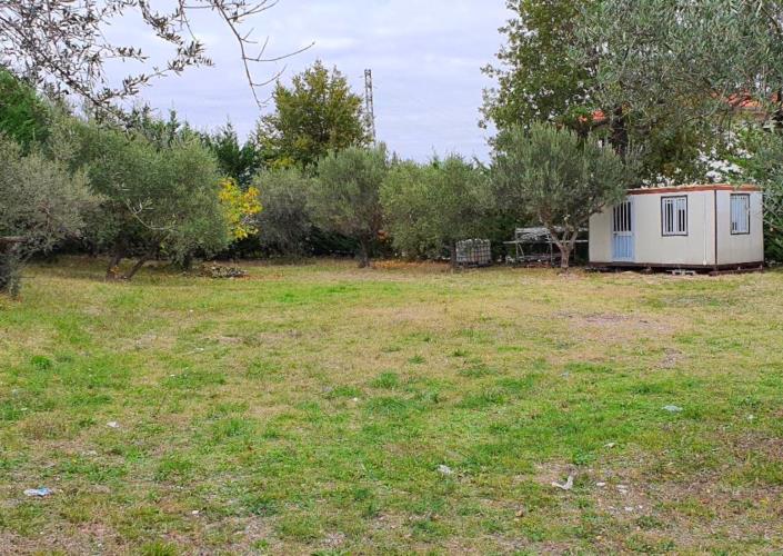 Image No.9-Terre à vendre à San Valentino in A.C.