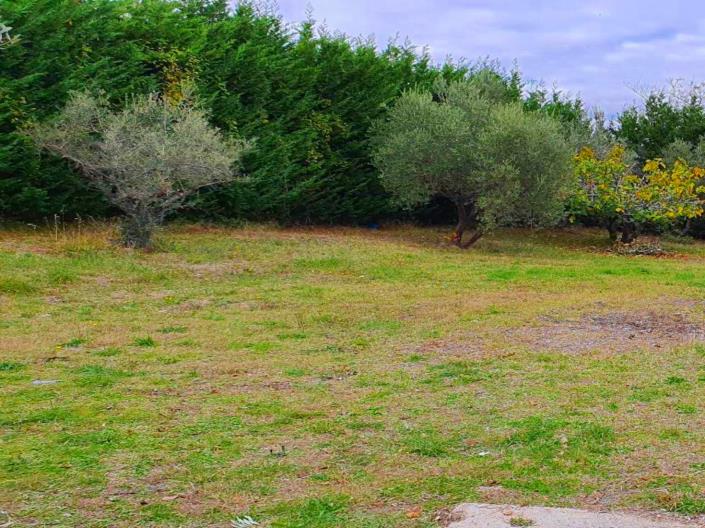 Image No.11-Terre à vendre à San Valentino in A.C.