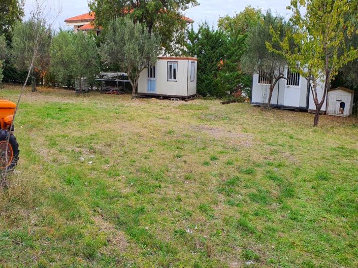 Image No.12-Terre à vendre à San Valentino in A.C.